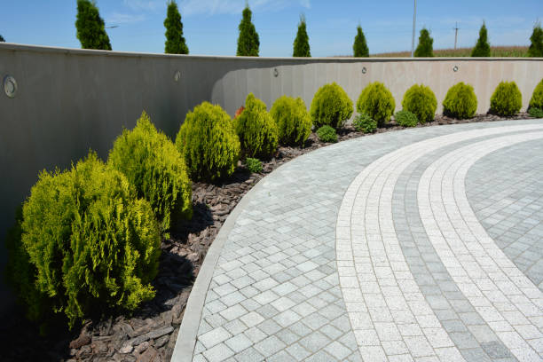 Best Residential Paver Driveway  in Colonial Beach, VA