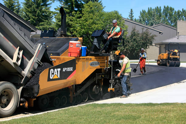 Best Driveway Paver Repair  in Colonial Beach, VA